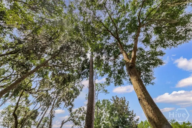 $799,000 | 3 Judsons Court, Savannah, GA 31410