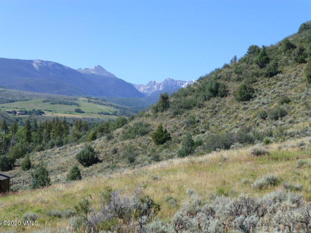 a view of a forest with mountains in the background