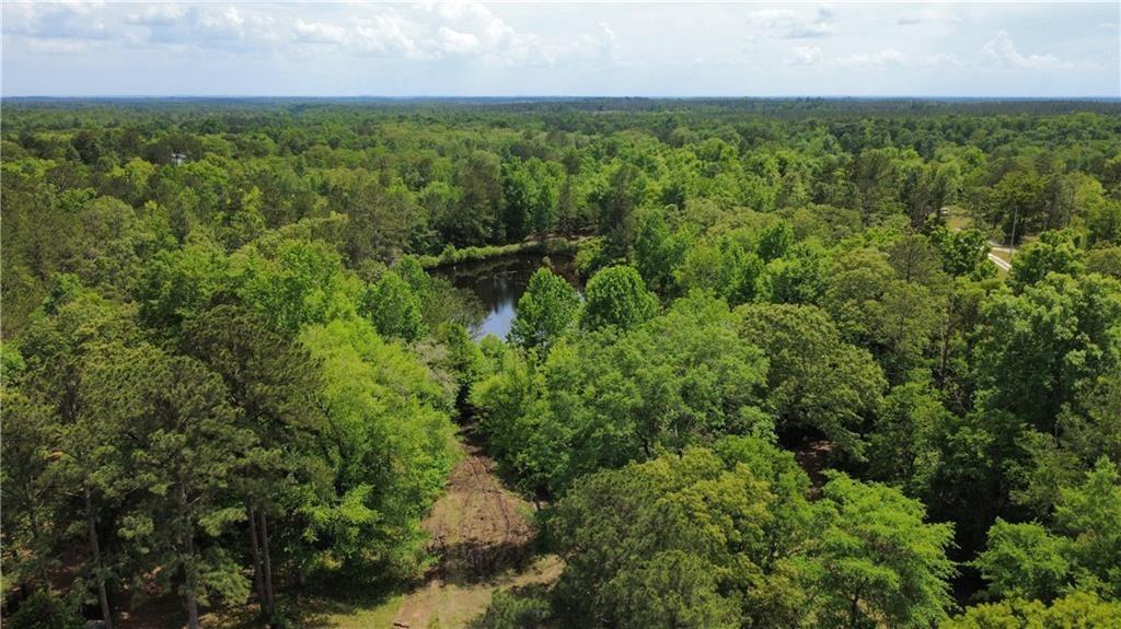 5591 Sandfort Road Seale, AL 36875 - Photo 9 of 10 Aerial overview of property's location featuring a nearby body of water and a forest