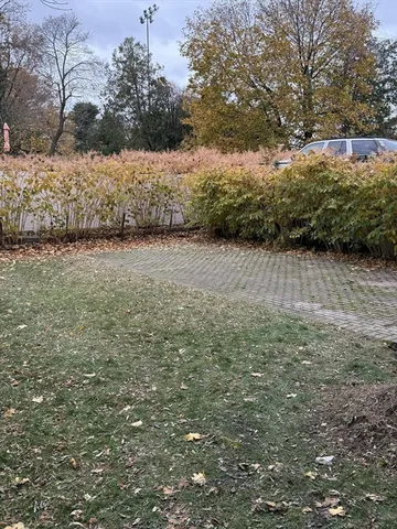 a view of a yard with a tree