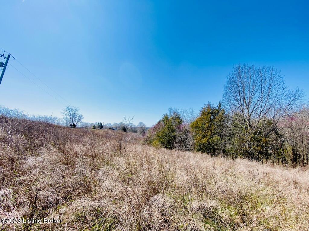 2723 Tatum Ridge Road Willisburg, KY 40078 - Photo 41 of 42 041_79791113