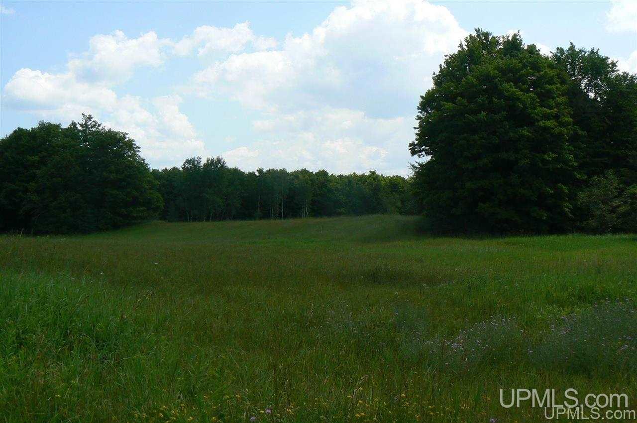 N6190 Jokipi Road Eben Junction, MI 49825 - Photo 14 of 28
