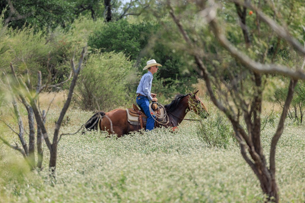 2300 Ranch Road 2323 Llano, TX 78643 - Photo 12 of 20