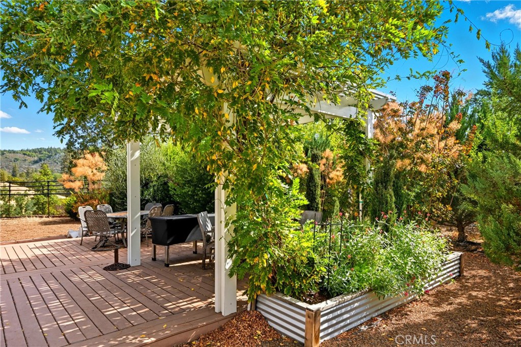 6850 High Valley Road Kelseyville, CA 95451 - Photo 4 of 45 Lovely landscaping for beauty and shade