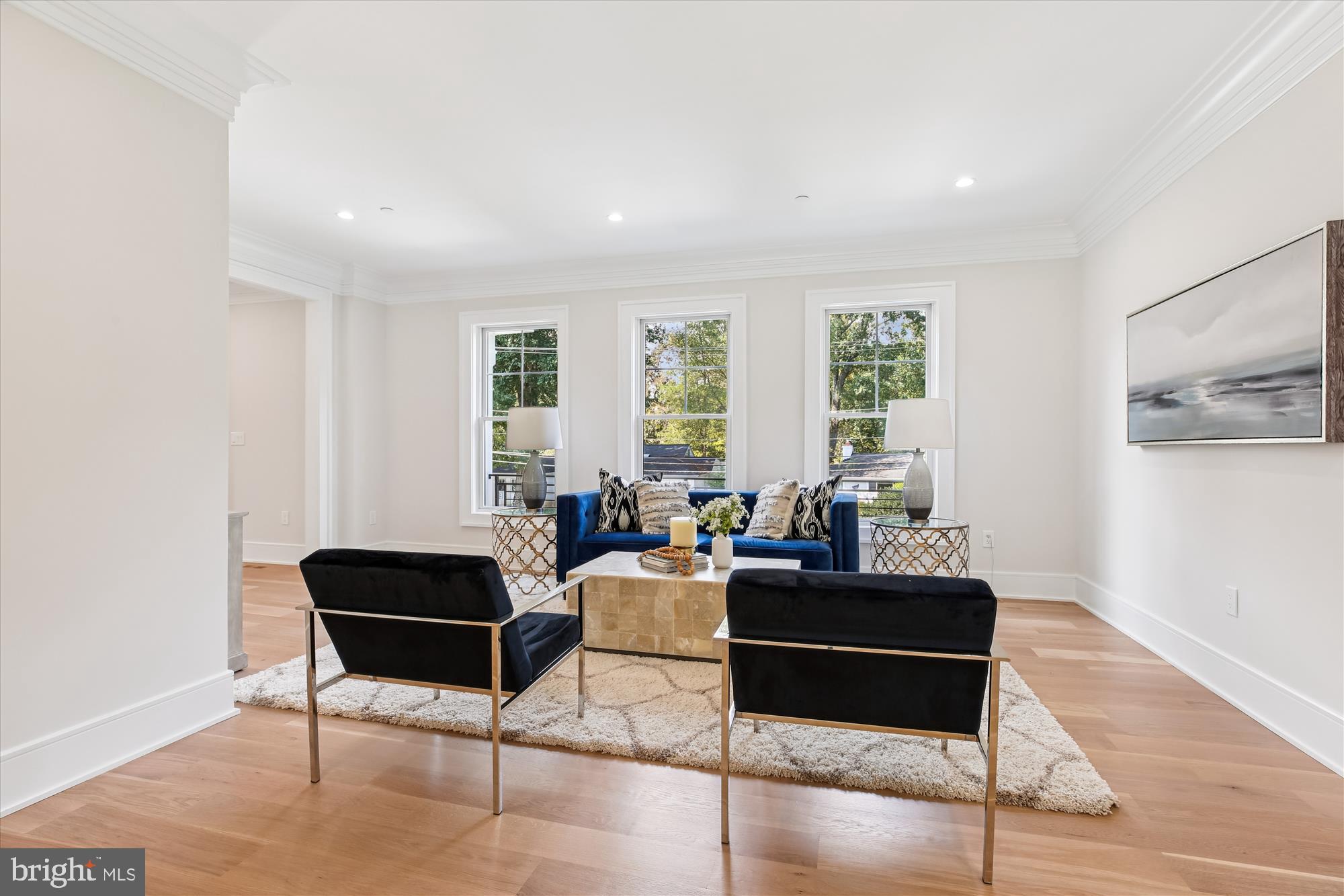 6513 Millwood Road Bethesda, MD 20817 - Photo 3 of 40 Living Room