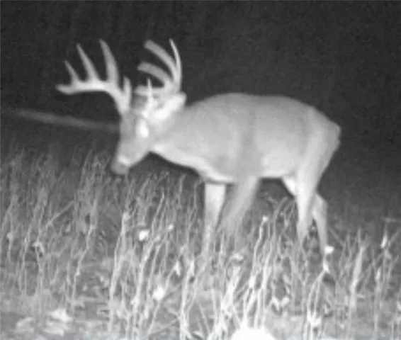 $969,000 | 13150 Norris Road, Rayville, MO 64084