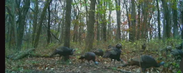 $969,000 | 13150 Norris Road, Rayville, MO 64084