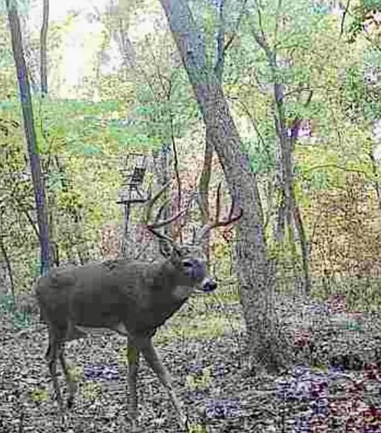 $969,000 | 13150 Norris Road, Rayville, MO 64084