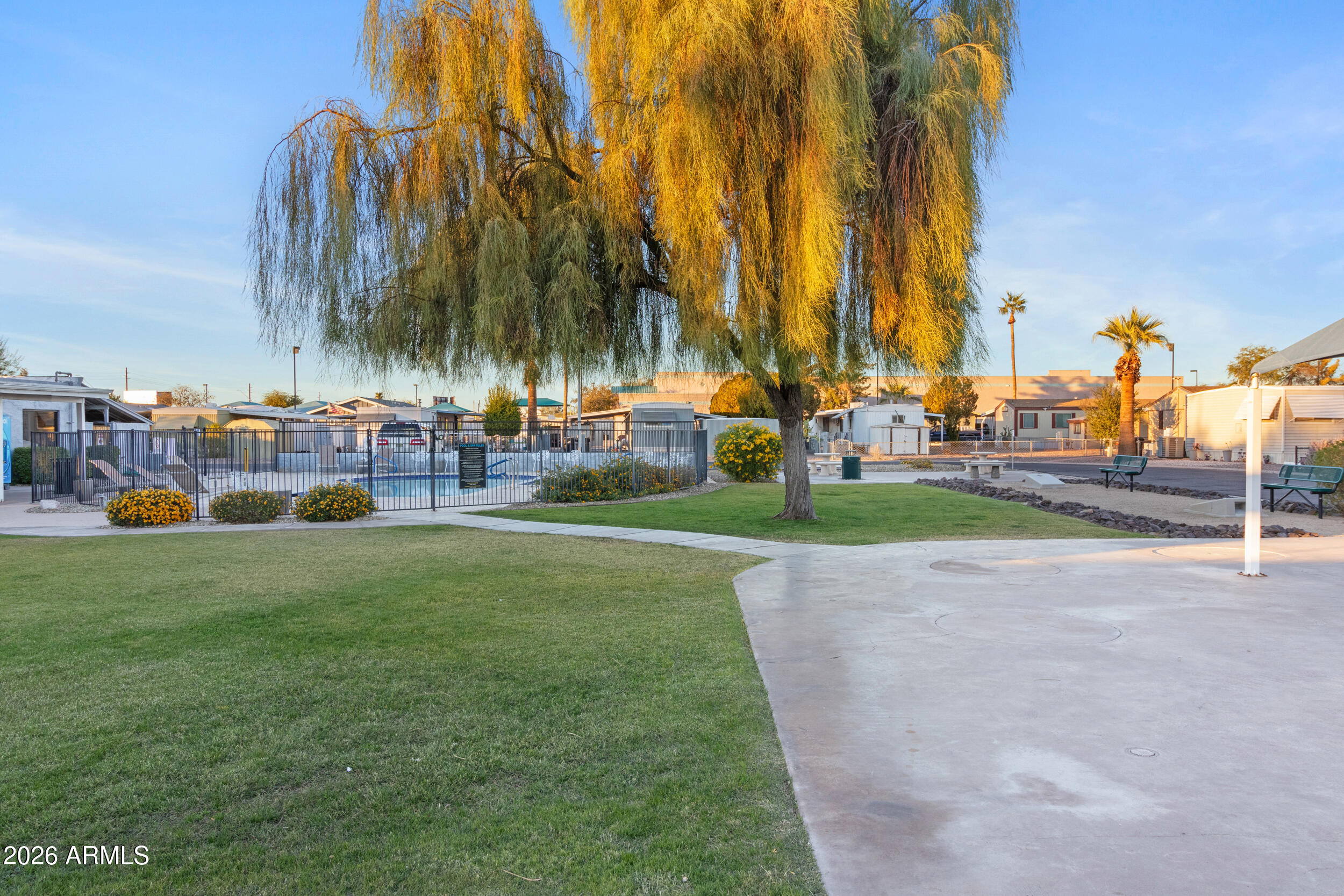 535 South Alma School Road, Unit 69 Mesa, AZ 85210 - Photo 43 of 59 a row of palm trees and a yard