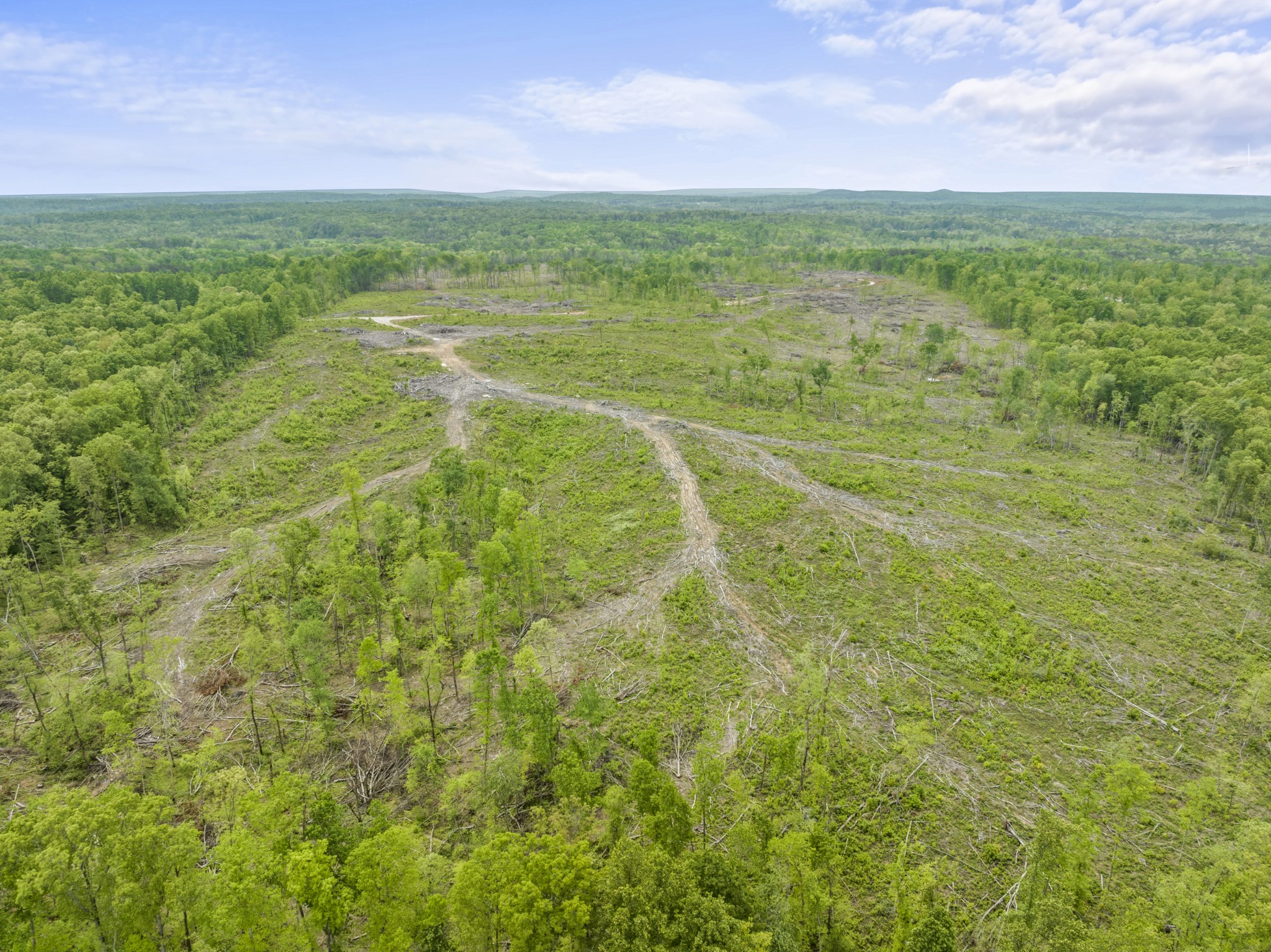0 Leffle Webb Road Crossville, TN 38572 - Photo 3 of 6 Gallery Image 3