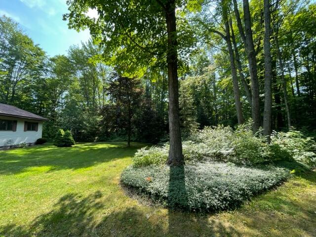 2492 Van Tyle Road Gaylord, MI 49735 - Photo 24 of 31 Gallery Image 24