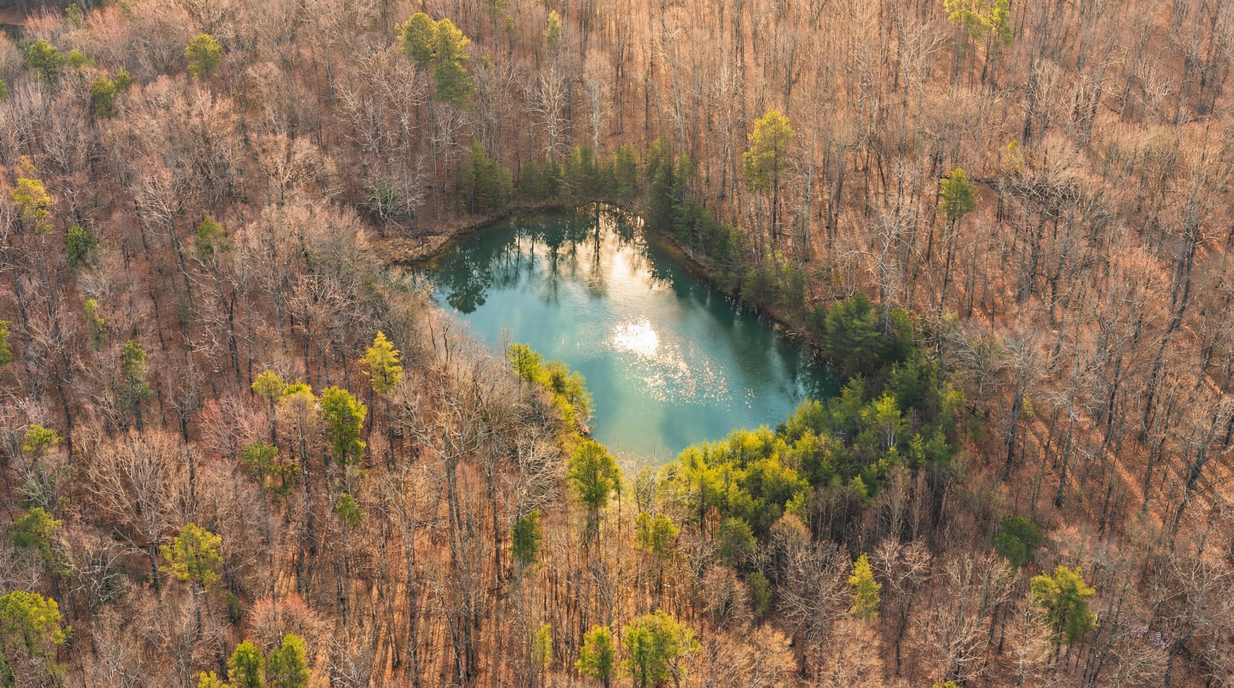 6_bob_cat_trl_tennessee_37327_usa_447930