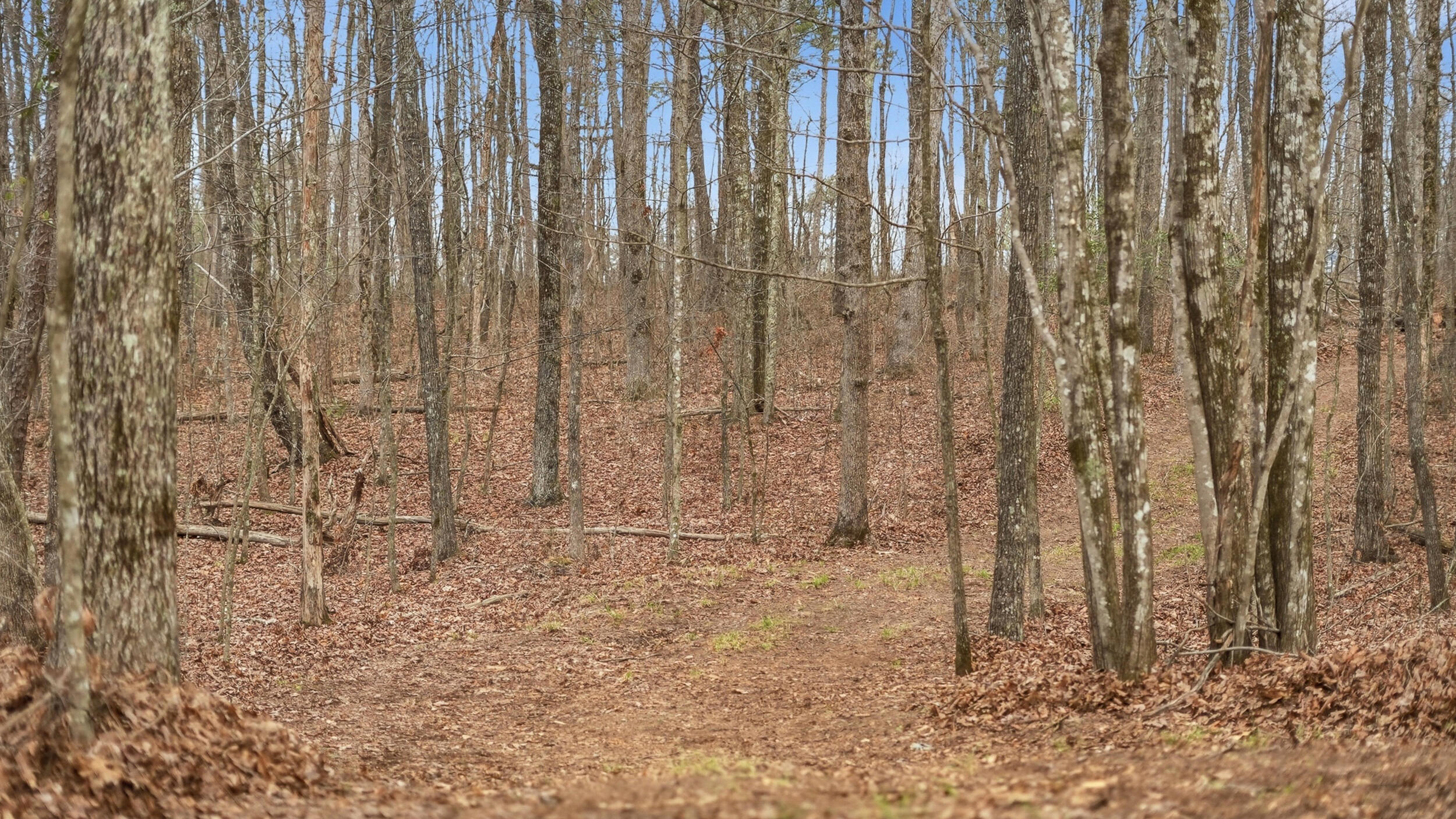 0 Bob Cat Trail Dunlap, TN 37327 - Photo 12 of 24 12_bob cat trl-6