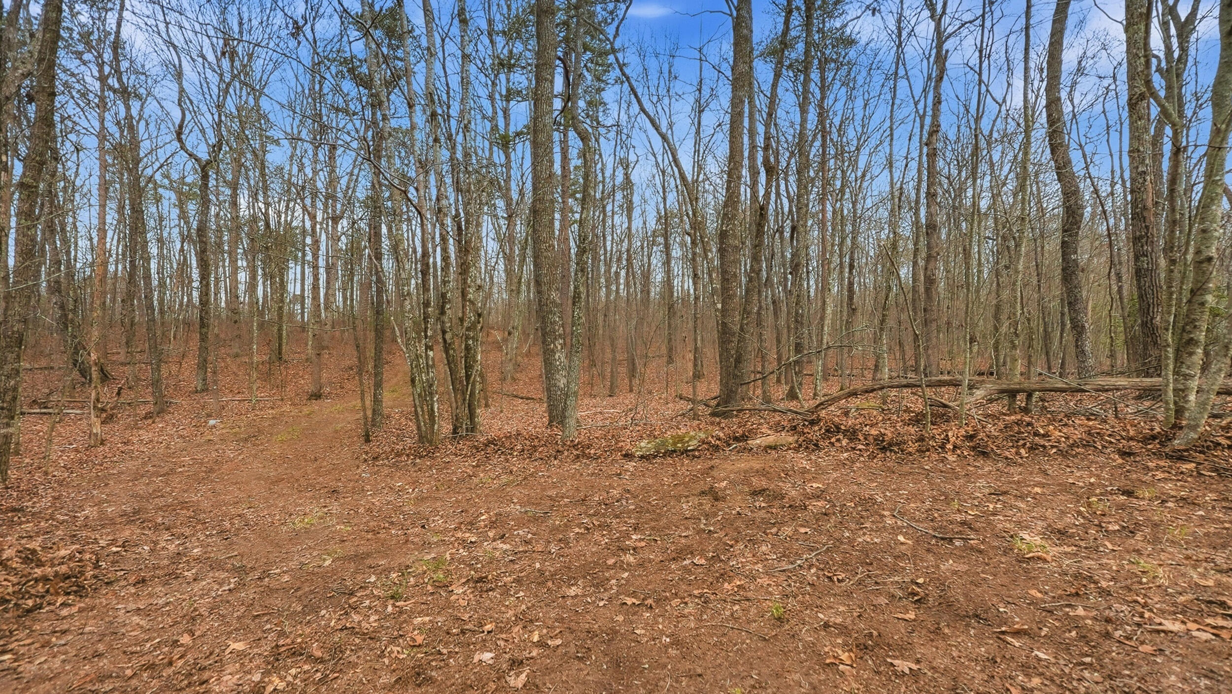 0 Bob Cat Trail Dunlap, TN 37327 - Photo 16 of 24 16_bob cat trl-10
