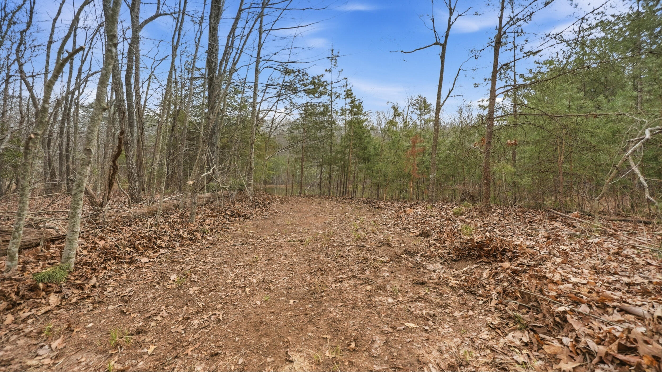 0 Bob Cat Trail Dunlap, TN 37327 - Photo 17 of 24 17_bob cat trl-11