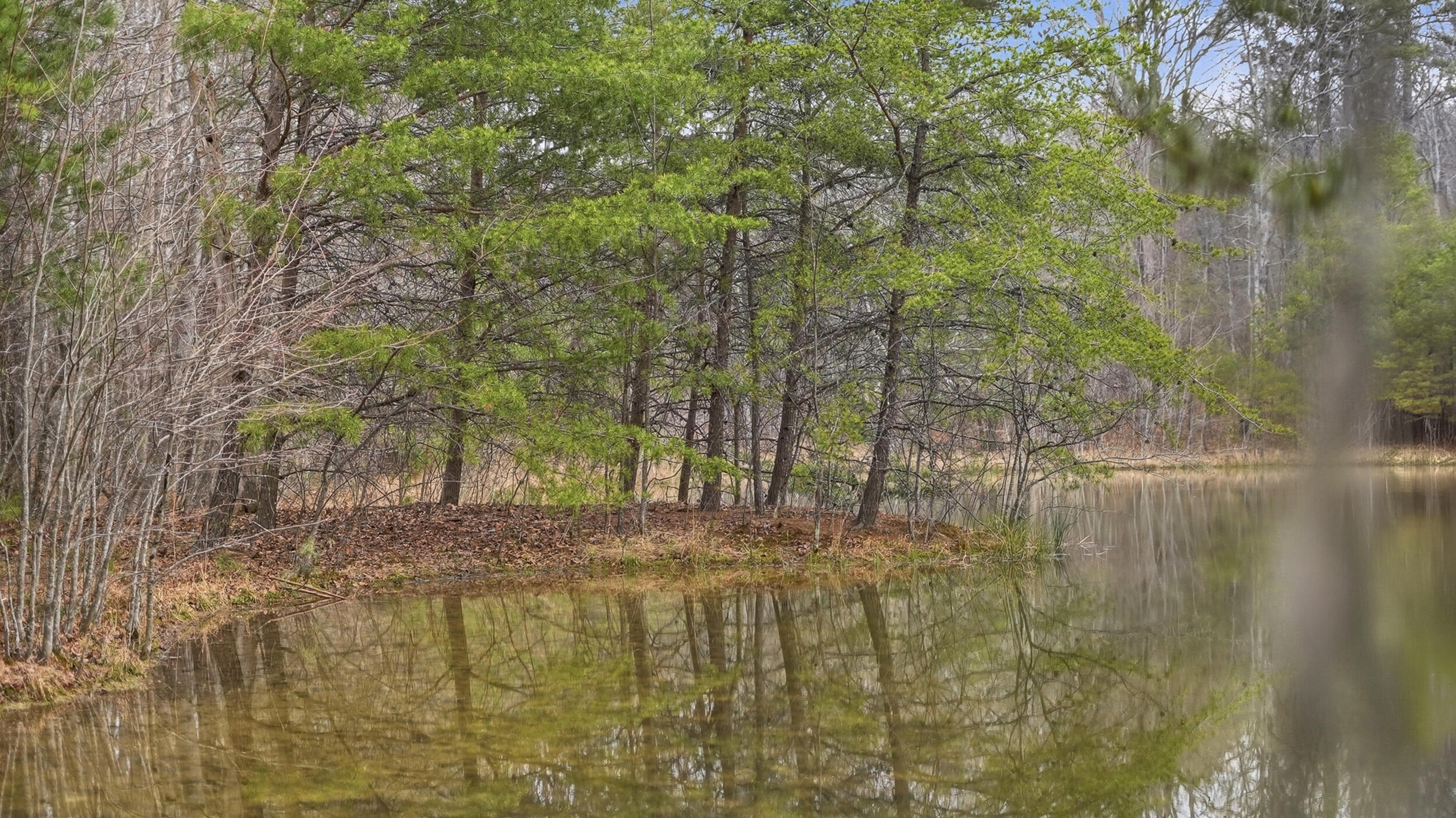 0 Bob Cat Trail Dunlap, TN 37327 - Photo 8 of 24 8_bob cat trl-2