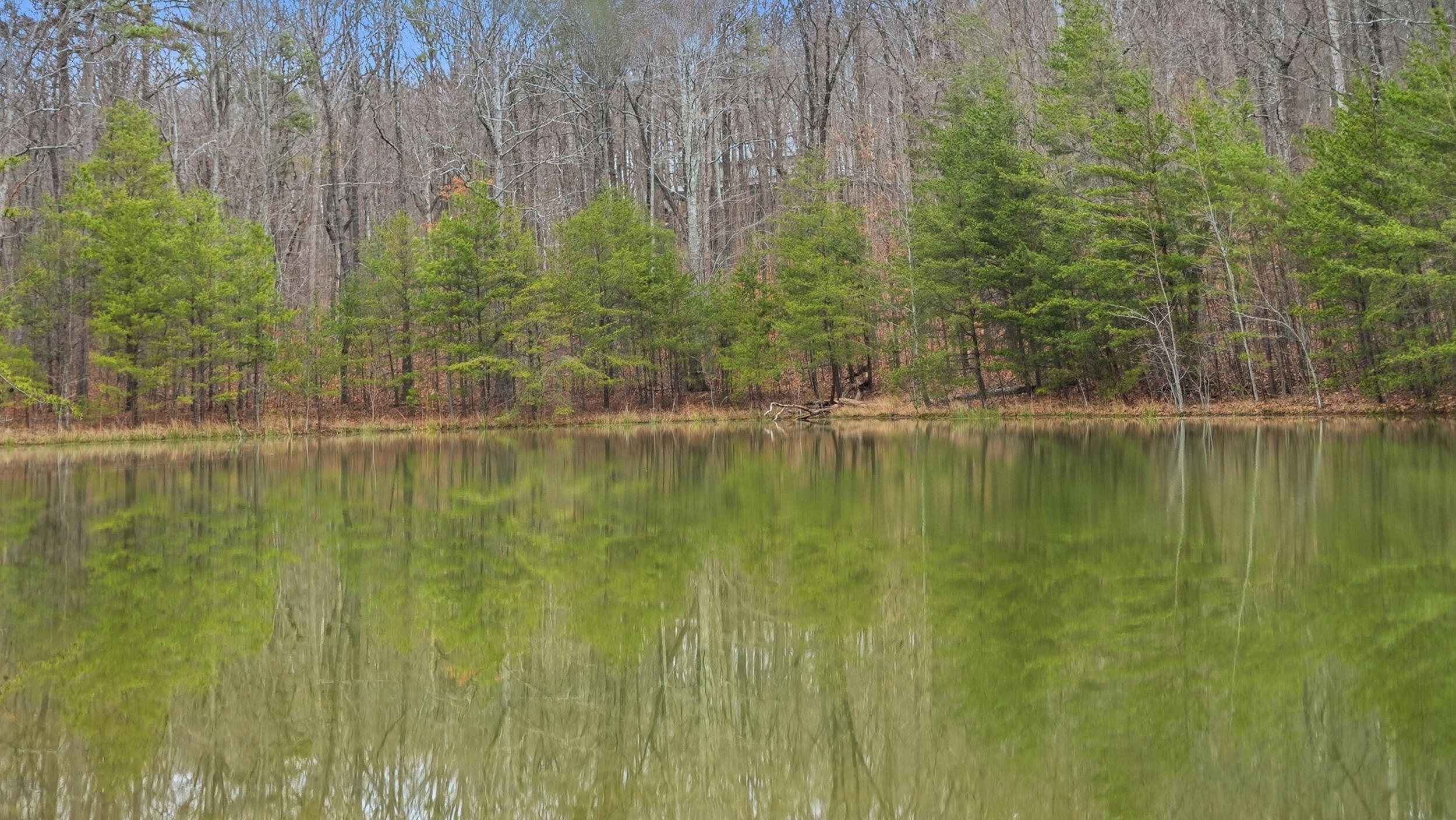 0 Bob Cat Trail Dunlap, TN 37327 - Photo 9 of 24 9_bob cat trl-3