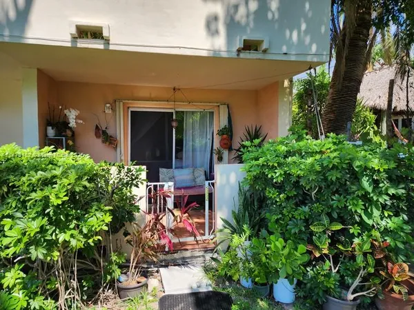 front view of a house with potted plants