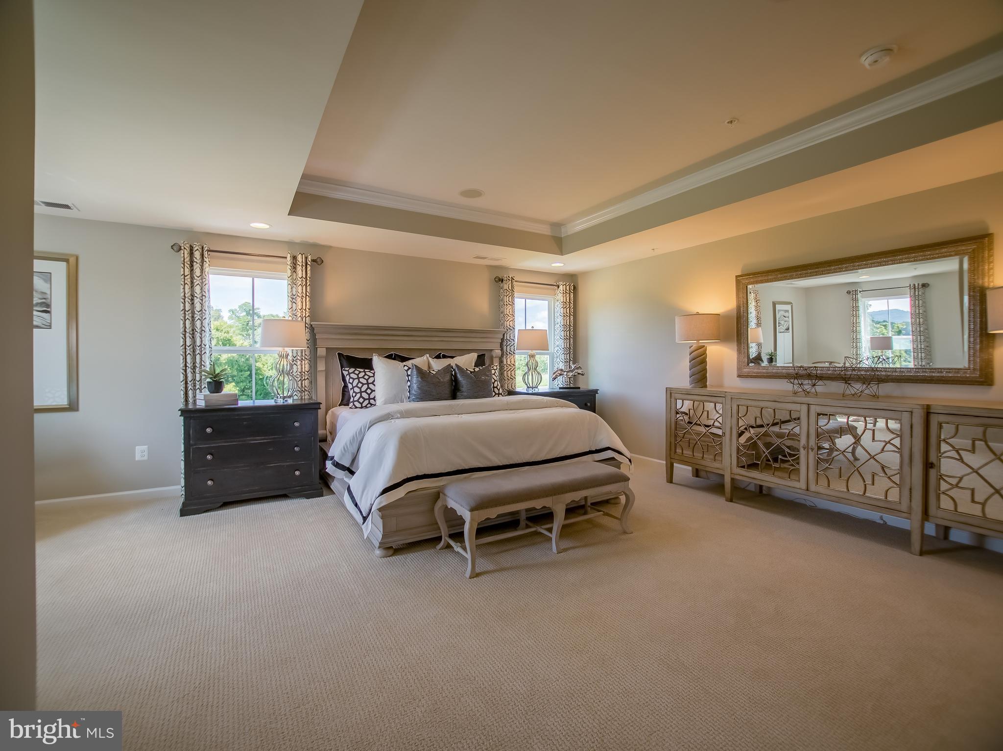 14408 Quarry View Road Brandywine, MD 20613 - Photo 11 of 25 OWNER'S BEDROOM WITH TRAY CEILING