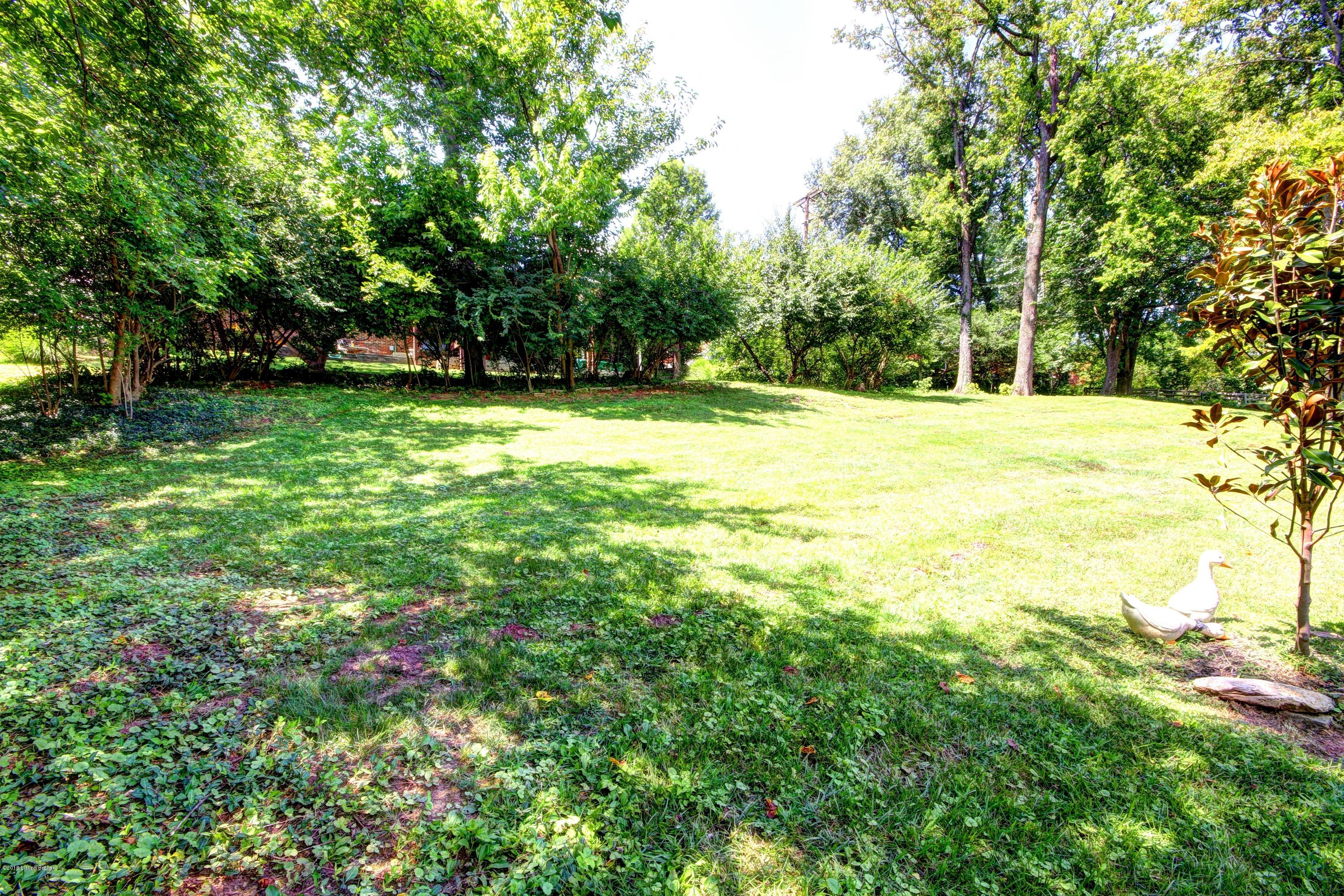 5505 Apache Road Louisville, KY 40207 - Photo 56 of 62 Apache #66
