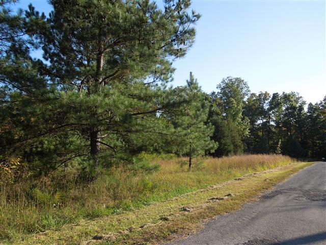 13 Barn Circle Road Big Rock, TN 37023 - Photo 1 of 6 3.91 Acres +/- Lot being Lot 13, Dogwood Hills.