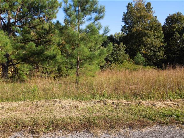 13 Barn Circle Road Big Rock, TN 37023 - Photo 2 of 6 Country Setting in a Convenient Location