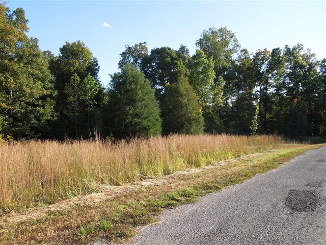 13 Barn Circle Road Big Rock, TN 37023 - Photo 3 of 6 Level to rolling terrain, long road frontage with public water by property