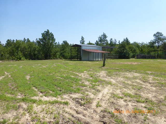 528 Big Branch Road Wagener, SC 29164 - Photo 3 of 12