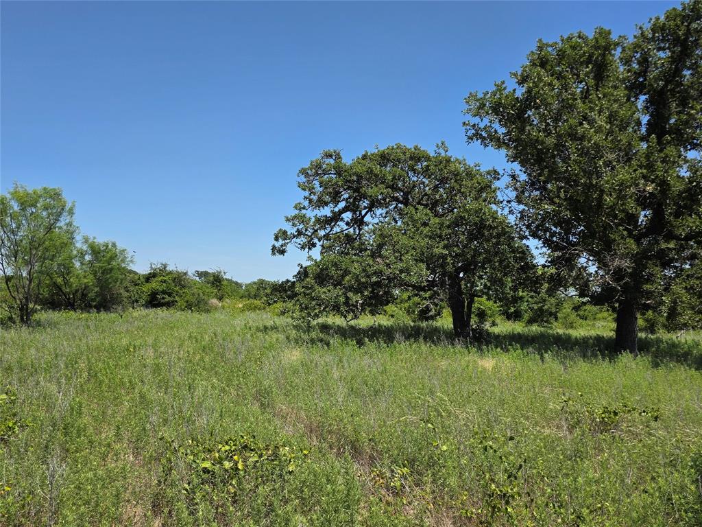 1000 County Road 375 Rising Star, TX 76471 - Photo 36 of 40