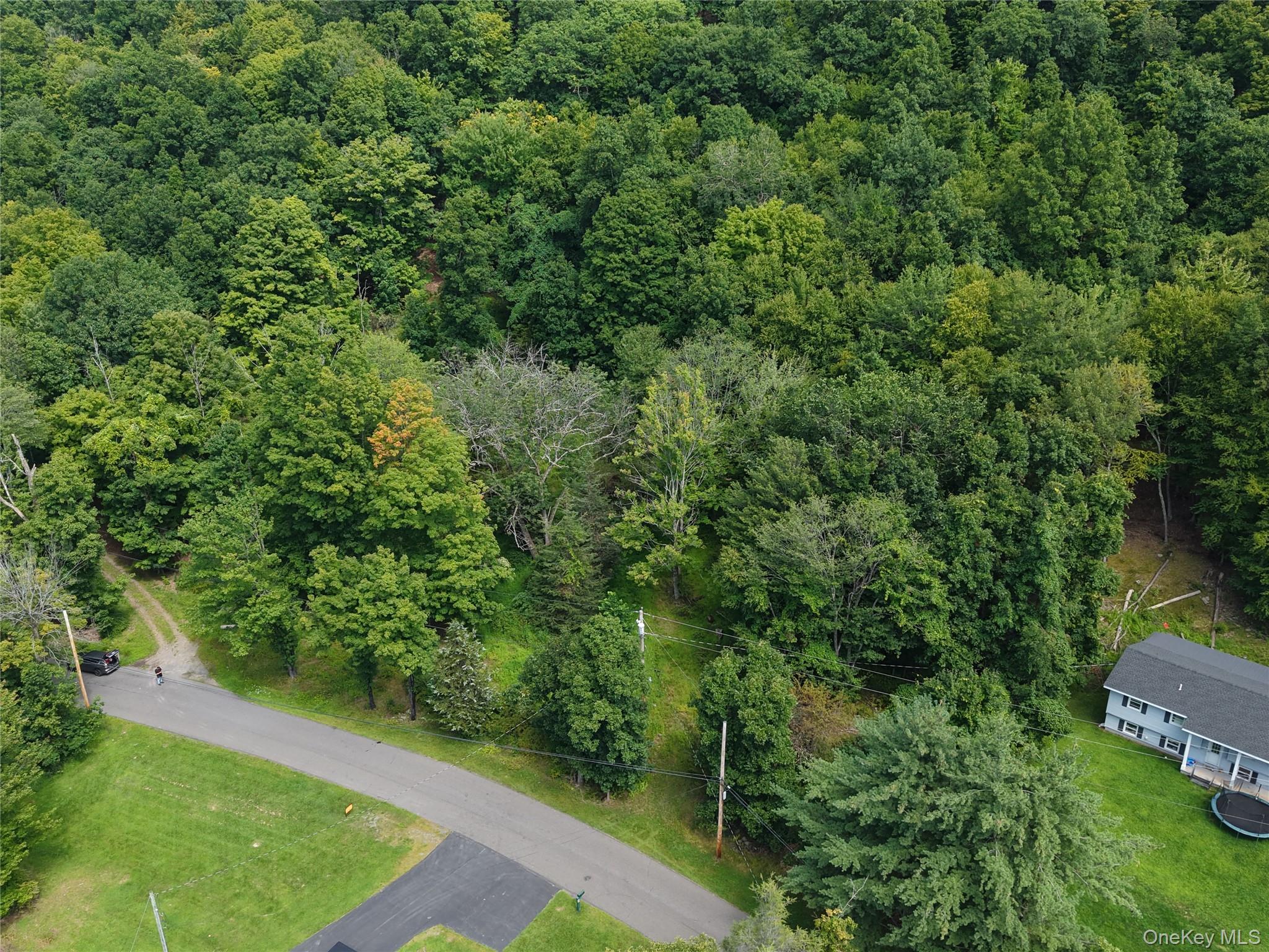 Twinshaven Road Neversink, NY 12765 - Photo 18 of 20 Gallery Image 18