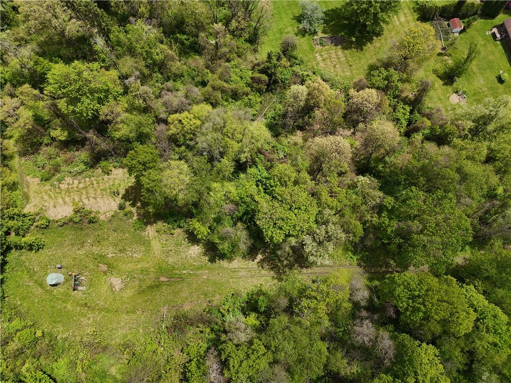 217 Briar Hill Road Kittanning, PA 16201 - Photo 11 of 11 a view of a yard