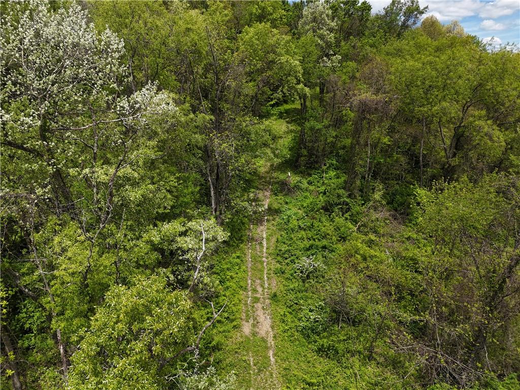 217 Briar Hill Road Kittanning, PA 16201 - Photo 7 of 11 a view of a forest with a street