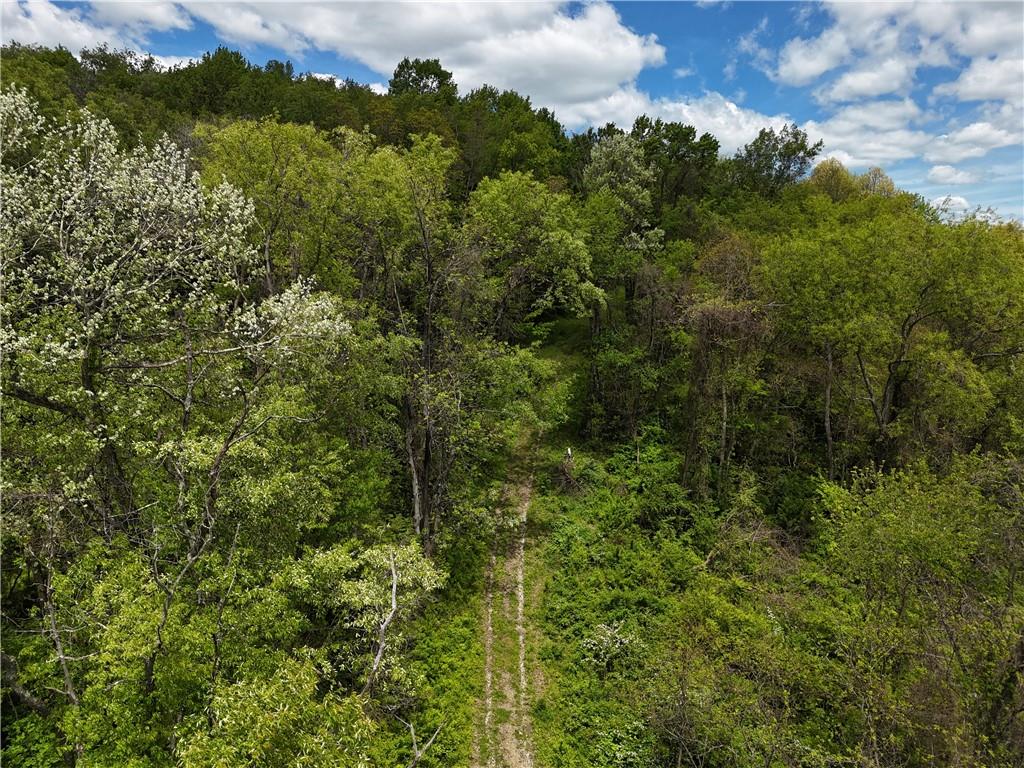 217 Briar Hill Road Kittanning, PA 16201 - Photo 8 of 11 a view of a forest