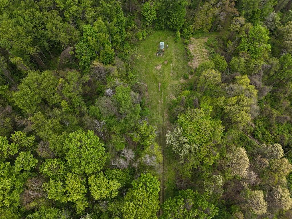 217 Briar Hill Road Kittanning, PA 16201 - Photo 9 of 11 a view of a forest