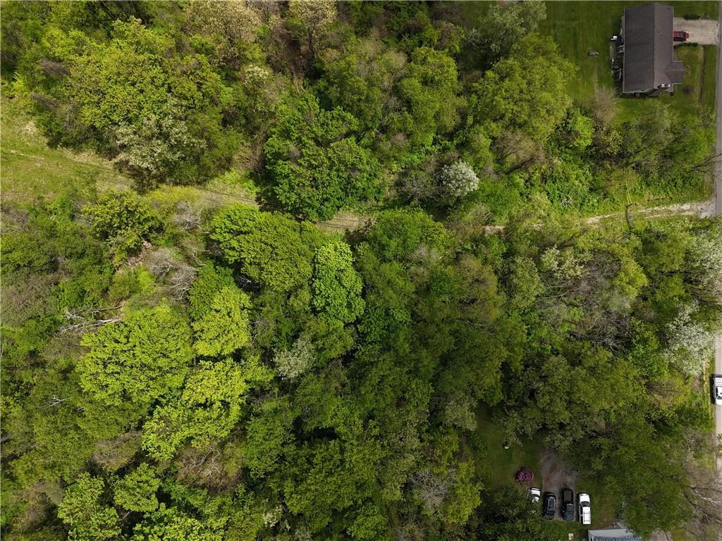 217 Briar Hill Road Kittanning, PA 16201 - Photo 10 of 11 a view of a house with a lush green forest