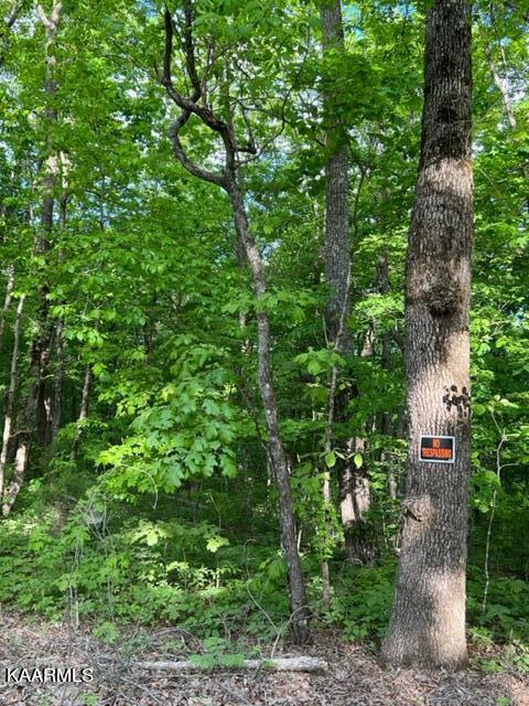 Chestnut Ridge Rd Rd Spring Spring City, TN 37381 - Photo 11 of 12 image6