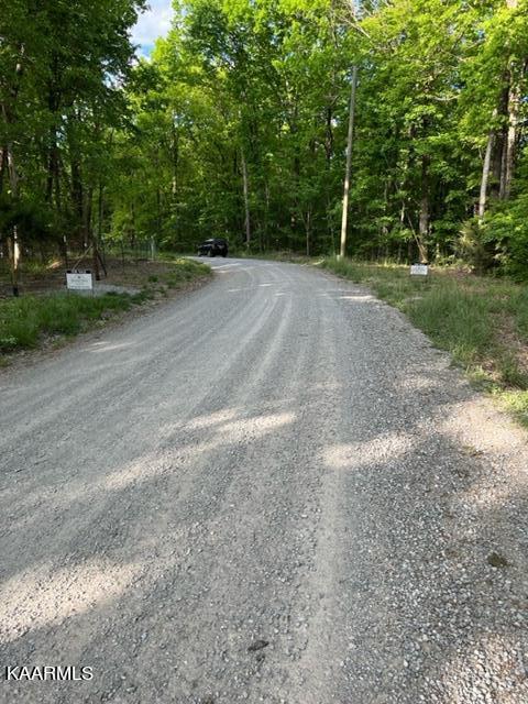 Chestnut Ridge Rd Rd Spring Spring City, TN 37381 - Photo 12 of 12 image5