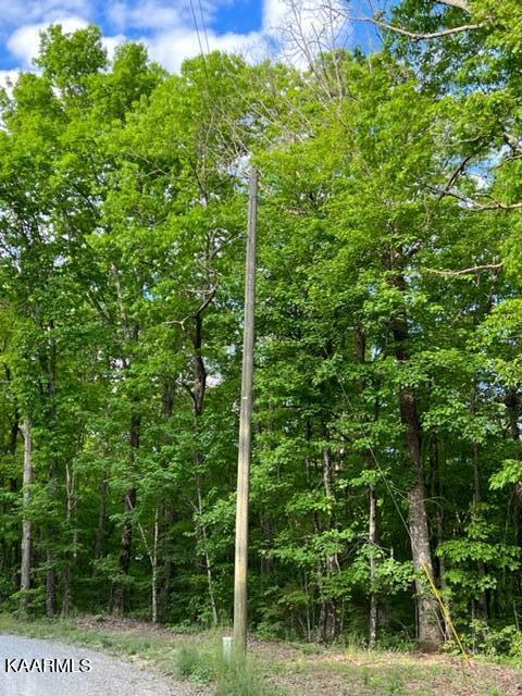 image1