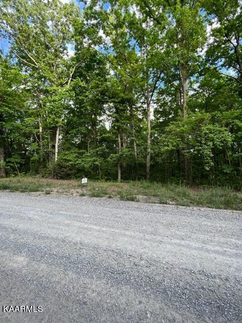 image4