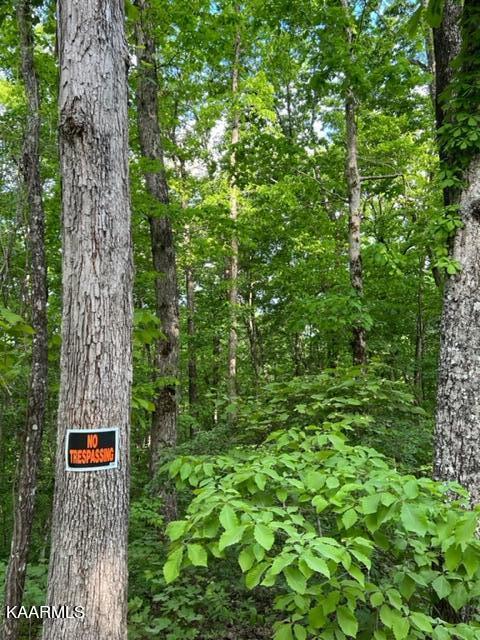 Chestnut Ridge Rd Rd Spring Spring City, TN 37381 - Photo 8 of 12 image9