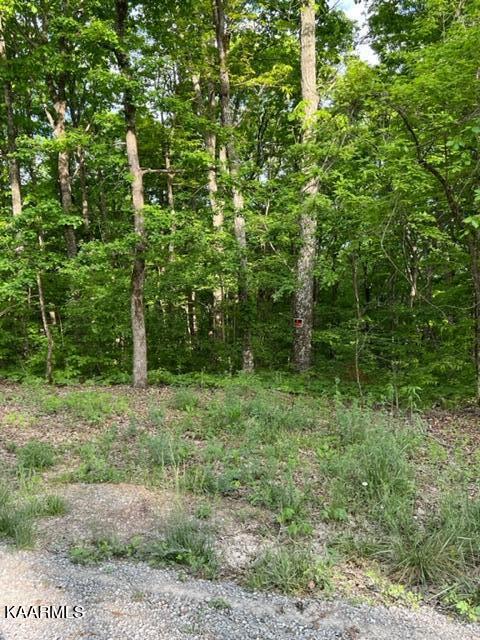 Chestnut Ridge Rd Rd Spring Spring City, TN 37381 - Photo 10 of 12 image7