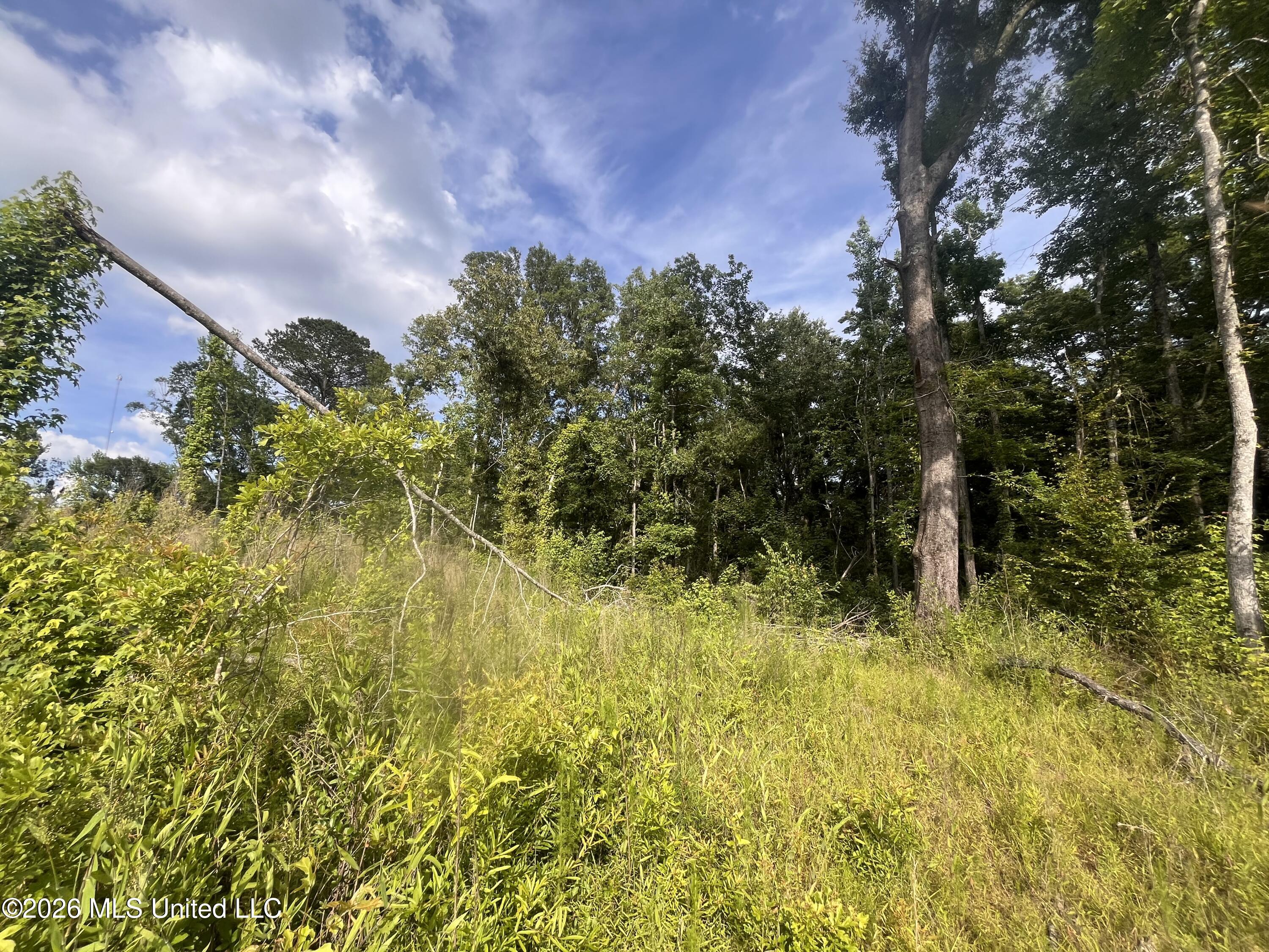 0 Pettey Road Forest, MS 39074 - Photo 11 of 15 IMG_4080
