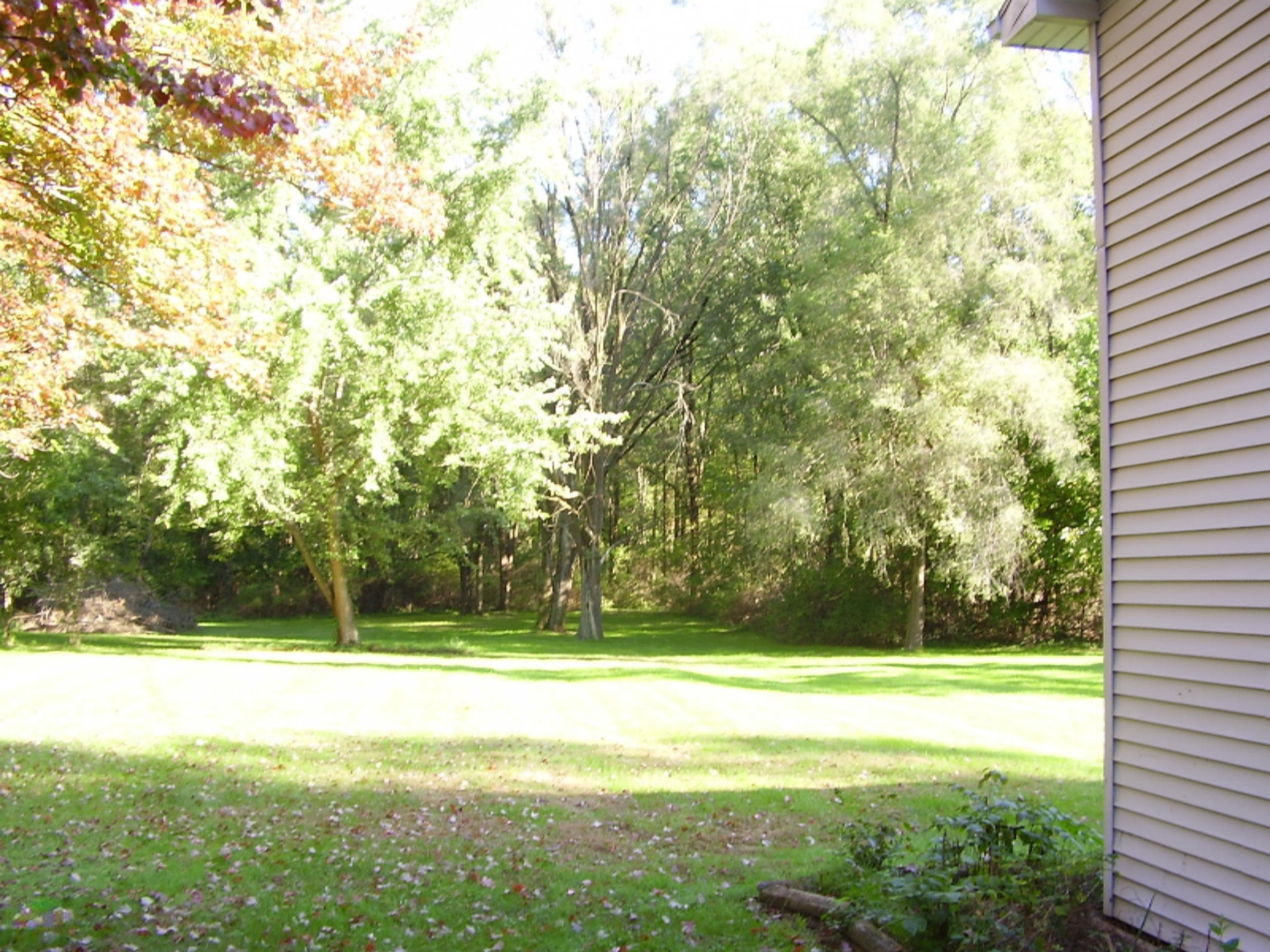 3065 Pipestone Road Benton Harbor, MI 49022 - Photo 5 of 32 P5240019