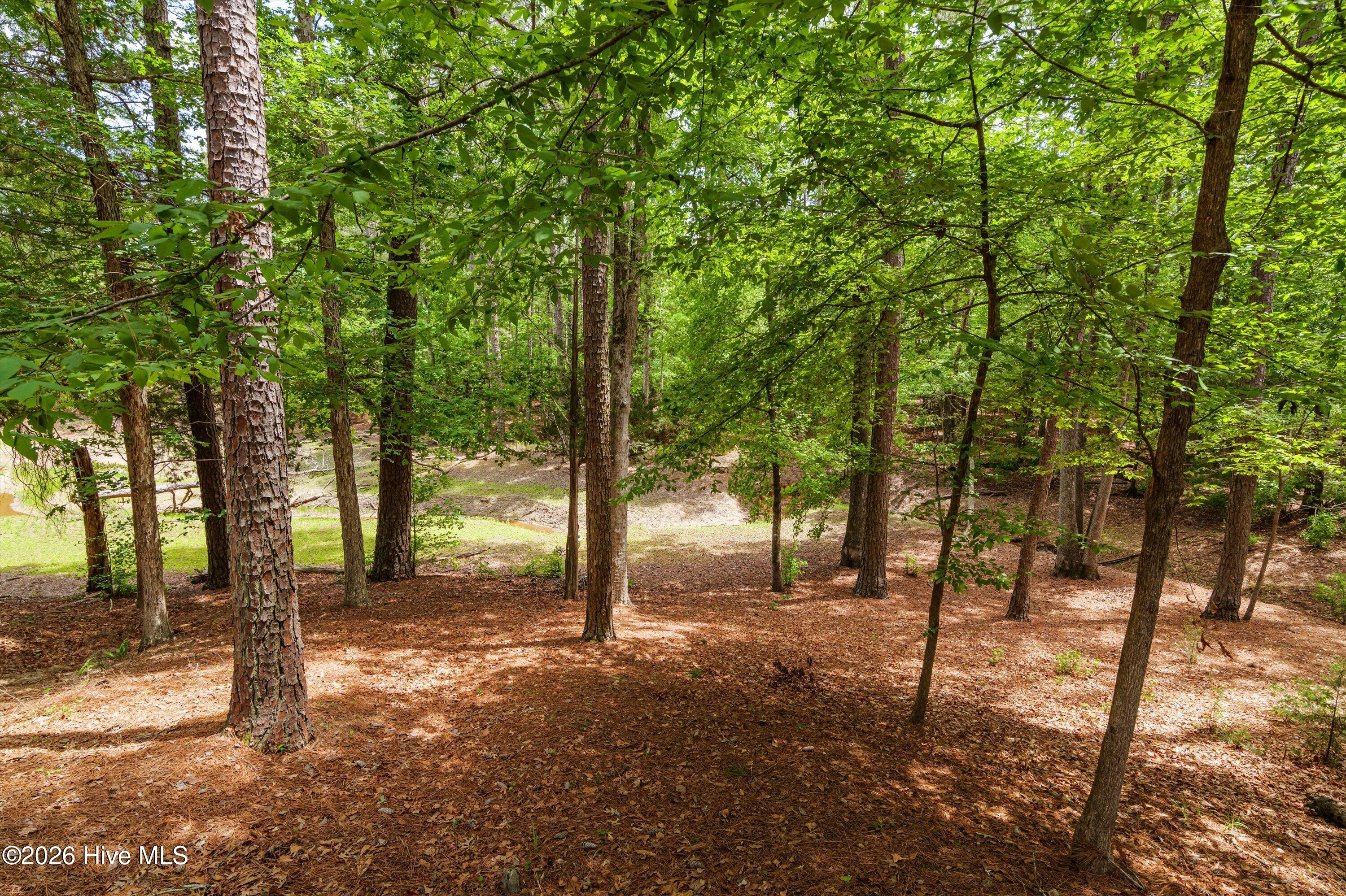 125 Lake Ridge Drive McCormick, SC 29835 - Photo 62 of 84 61-P2099218