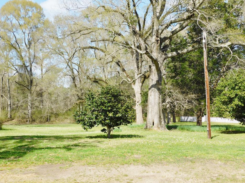 48 Powlett Road Natchez, MS 39120 - Photo 32 of 41 Photo 33