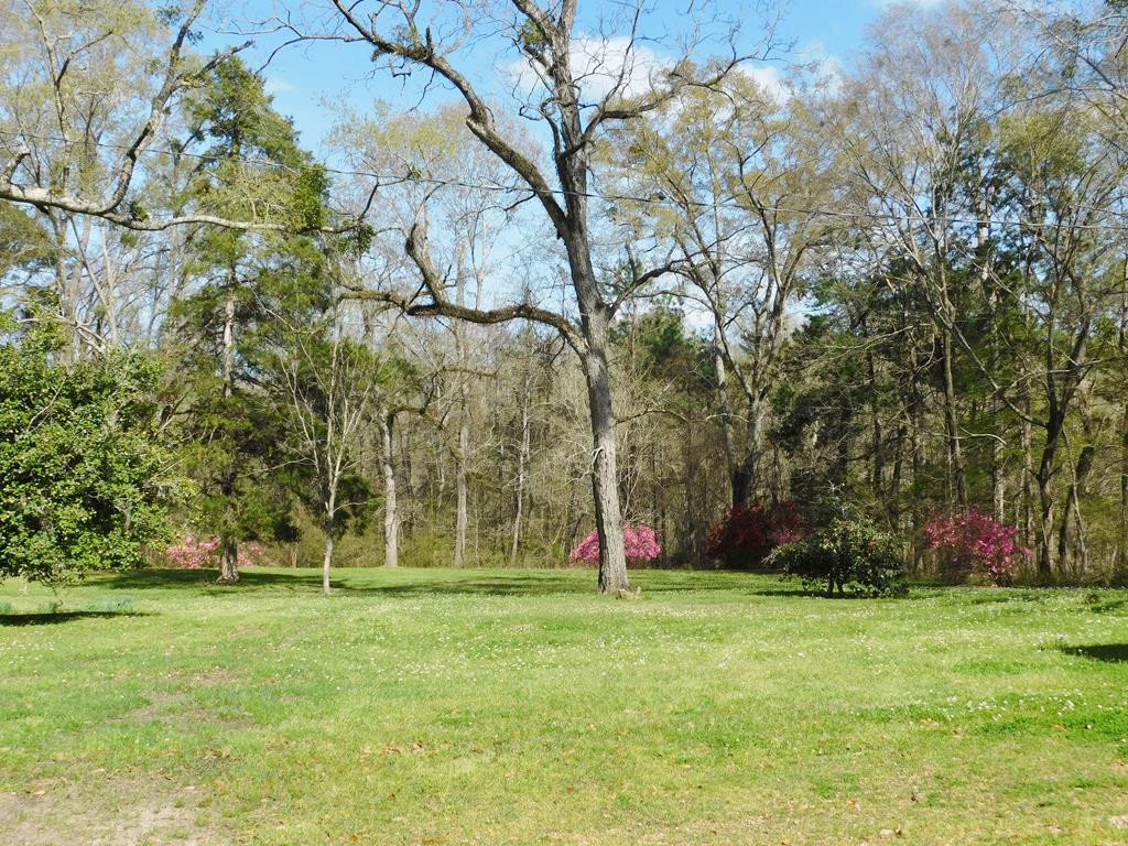 48 Powlett Road Natchez, MS 39120 - Photo 33 of 41 Photo 34