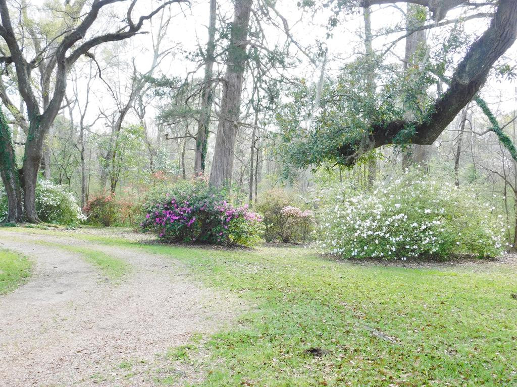48 Powlett Road Natchez, MS 39120 - Photo 35 of 41 Photo 36