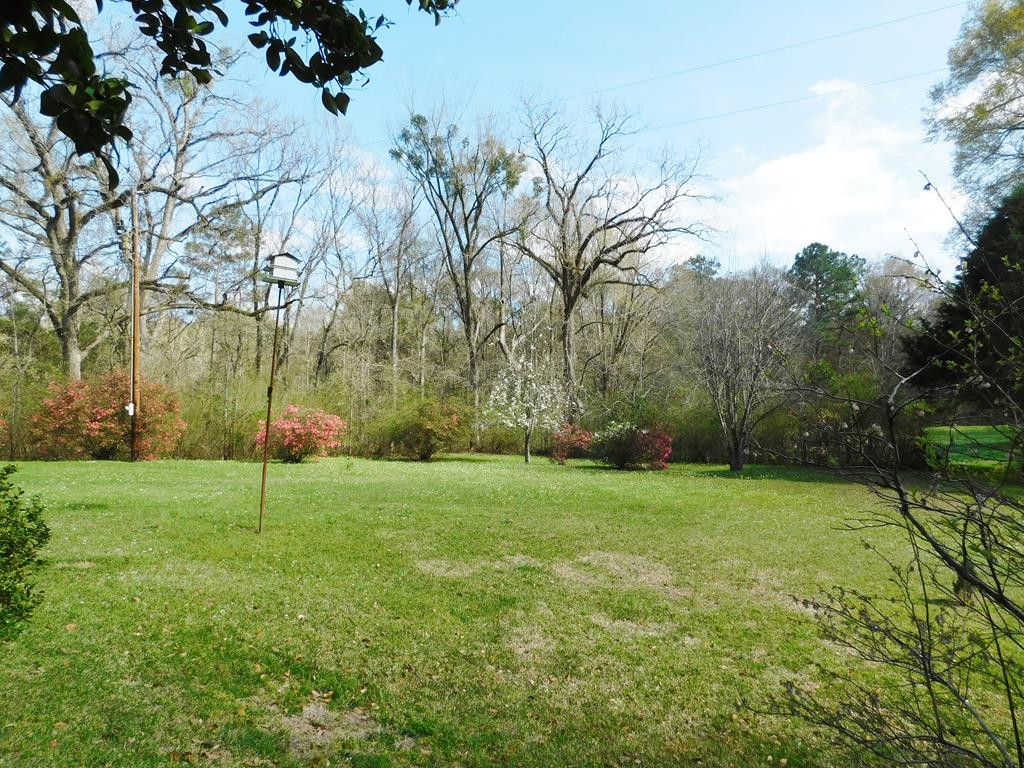48 Powlett Road Natchez, MS 39120 - Photo 40 of 41 Photo 41
