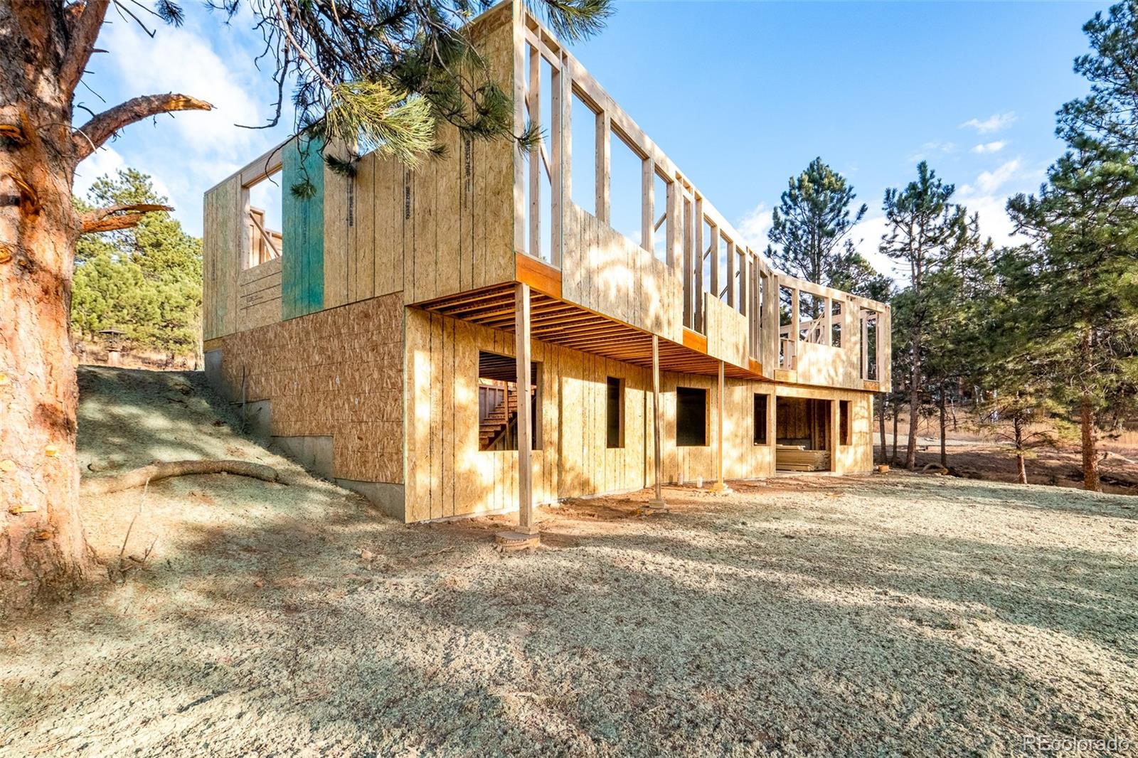 5950 Cliff Road Evergreen, CO 80439 - Photo 10 of 27