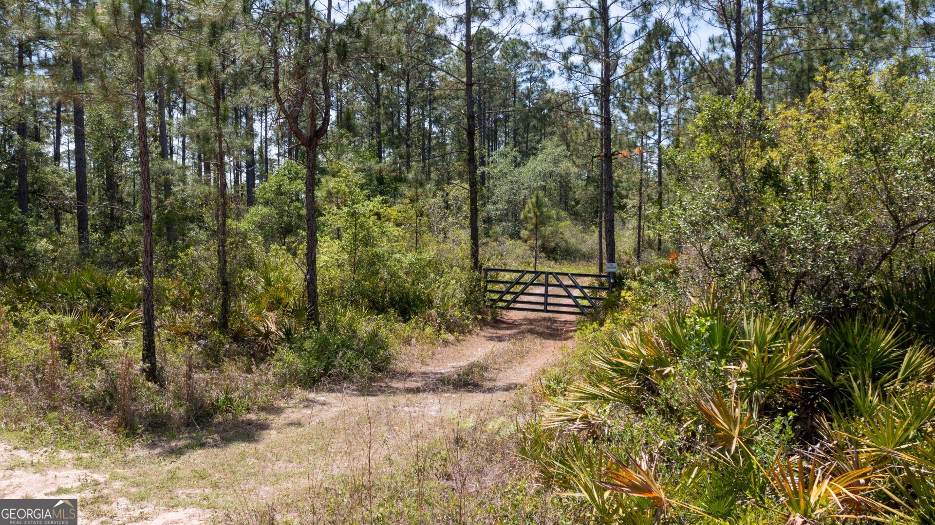 779 Ralph Davis Road, Unit 1 LAND LOT Folkston, GA 31537 - Photo 2 of 28 a view of outdoor space and trees
